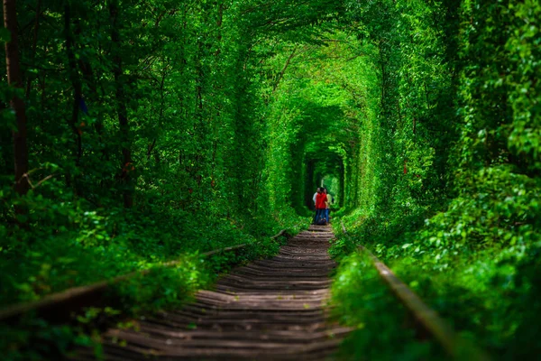 Uma ferrovia na floresta de primavera . — Fotografia de Stock