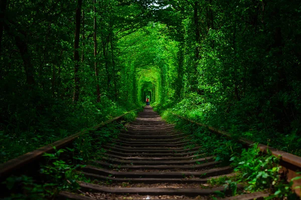 Uma ferrovia na floresta de primavera . — Fotografia de Stock