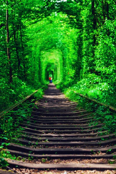 Un chemin de fer dans la forêt de printemps . — Photo