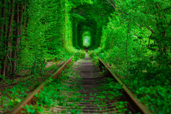 a railway in the spring forest. 