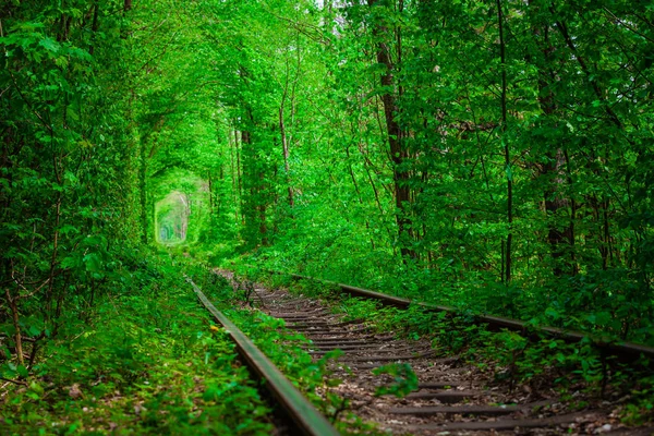 Un ferrocarril en el bosque de primavera . — Foto de Stock