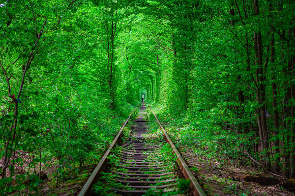 a railway in the spring forest. 