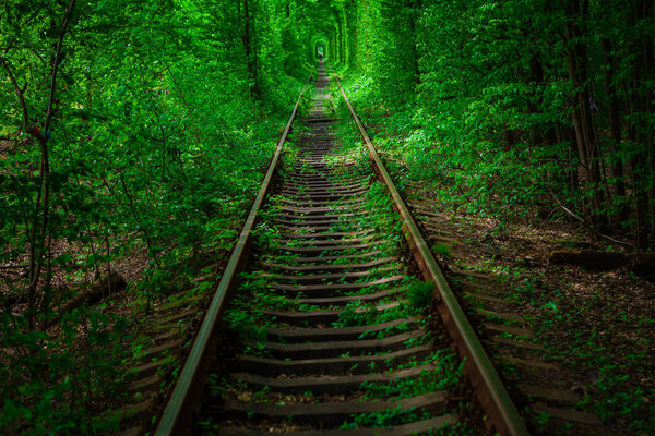a railway in the spring forest. 