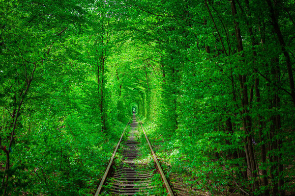 a railway in the spring forest. 