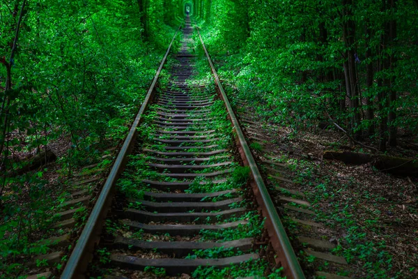 Un ferrocarril en el bosque de primavera . — Foto de Stock