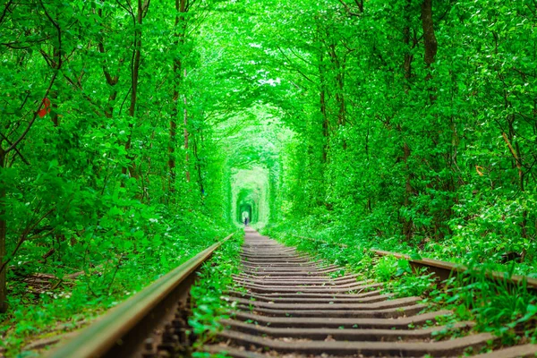 Eine Eisenbahn im Frühlingswald. — Stockfoto