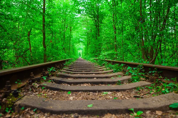 Un ferrocarril en el bosque de primavera . — Foto de Stock