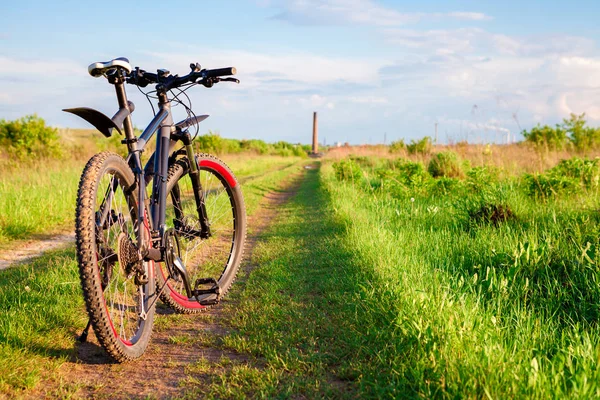 Mit dem Fahrrad schnell bergab — Stockfoto