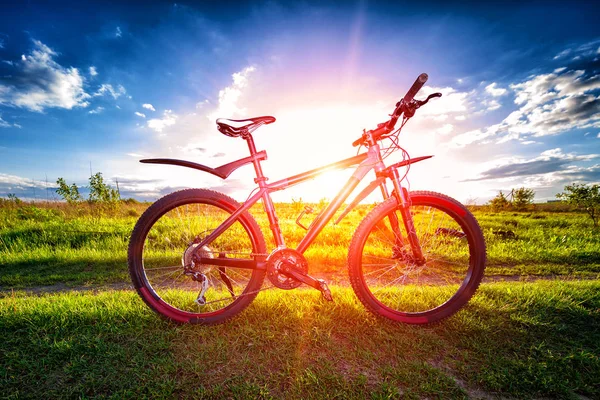 Descendo rápido na bicicleta — Fotografia de Stock