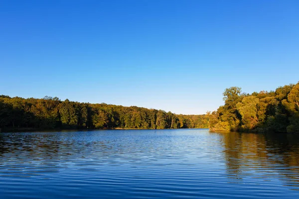 Foresta pittoresca e il fiume — Foto Stock