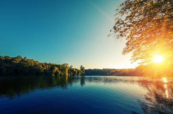 Pittoreska skogen och floden — Stockfoto