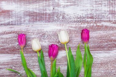 Güzel bir buket lale. 