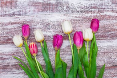 Güzel bir buket lale. 