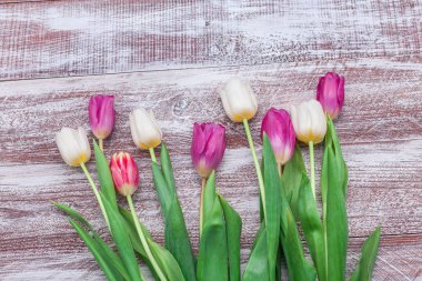 Güzel bir buket lale. 