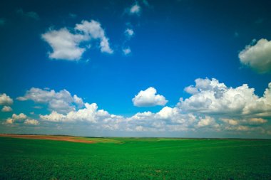 Yaz aylarında güzel yeşil alan.