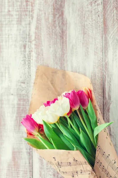 Beautiful spring tulips — Stock Photo, Image