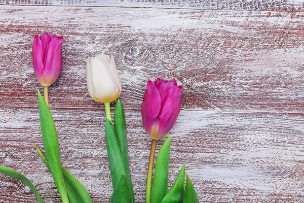 Beautiful  bouquet of tulips — Stock Photo, Image