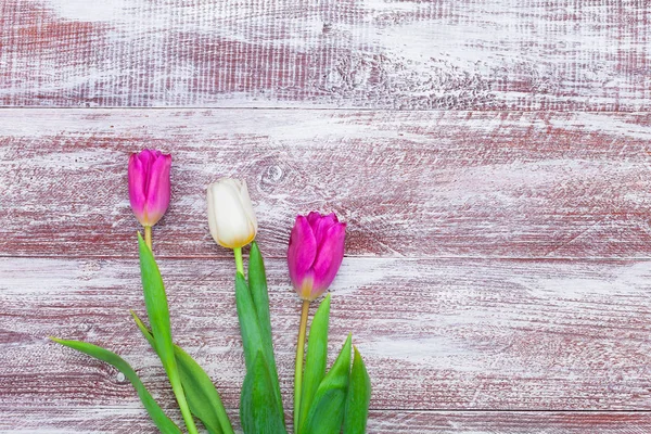 Beautiful  bouquet of tulips — Stock Photo, Image