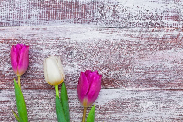 Beautiful  bouquet of tulips — Stock Photo, Image