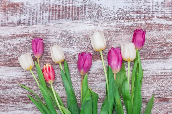 Belo buquê de tulipas — Fotografia de Stock