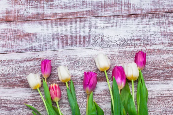 Belo buquê de tulipas — Fotografia de Stock