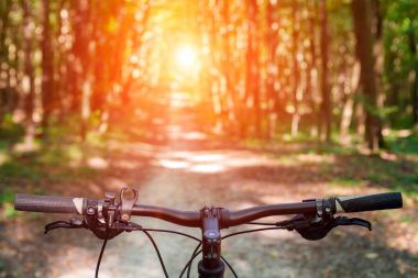 Ormandaki dağ Bisiklet.