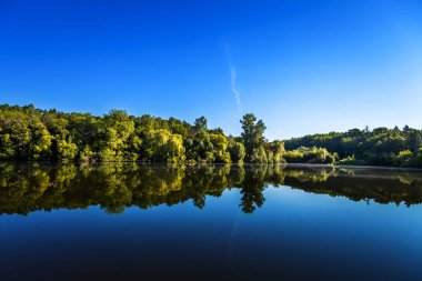 Resimli orman ve nehir.