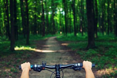 Ormandaki dağ Bisiklet.