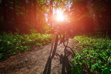 Ormandaki dağ Bisiklet.