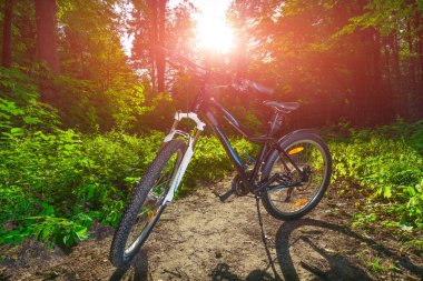 Parkta bisiklet sürme  