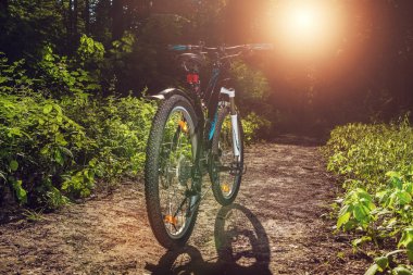 Ormandaki dağ Bisiklet.