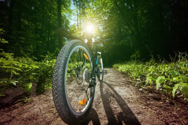 Parkta bisiklet sürme  