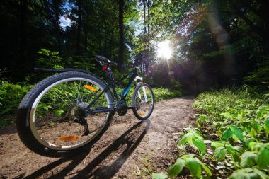 Parkta bisiklet sürme  