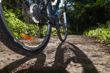 Parkta bisiklet sürme  