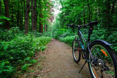 Ormandaki dağ Bisiklet.