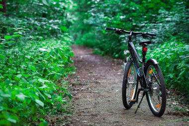 Ormandaki dağ Bisiklet.