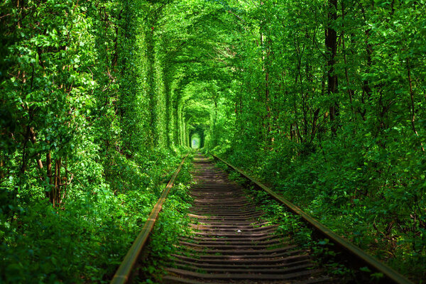 A railway in the spring forest. Travel
