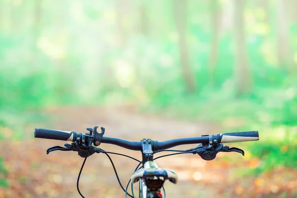 Fiets van de berg in bos. — Stockfoto