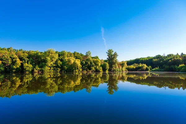 Malerischer Wald und der Fluss — Stockfoto