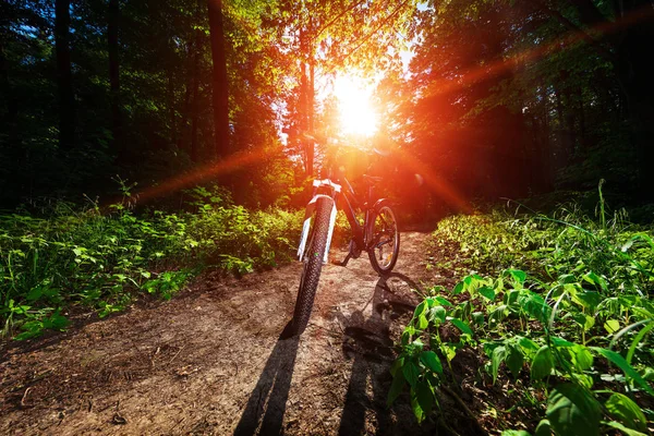 Mountain  bicycle in forest.