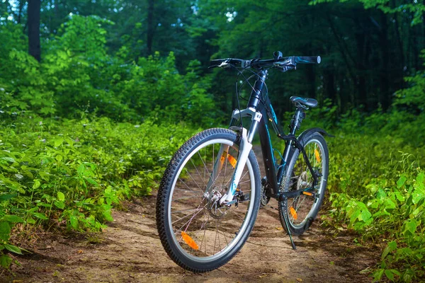 Andar de bicicleta no parque — Fotografia de Stock