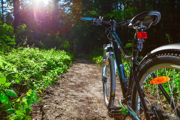 Rijden op de fiets in het park — Stockfoto