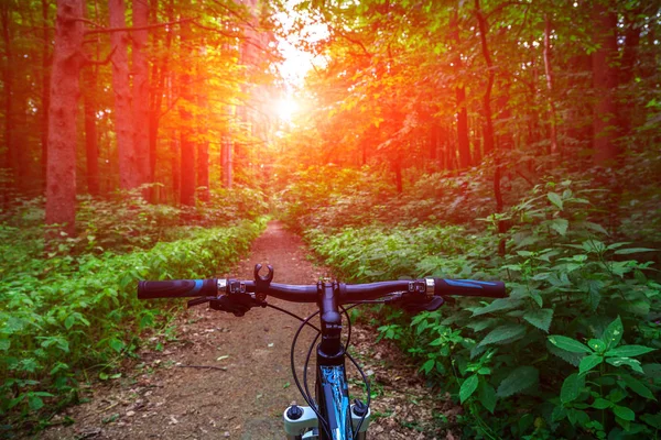 山地自行车在森林里. — 图库照片