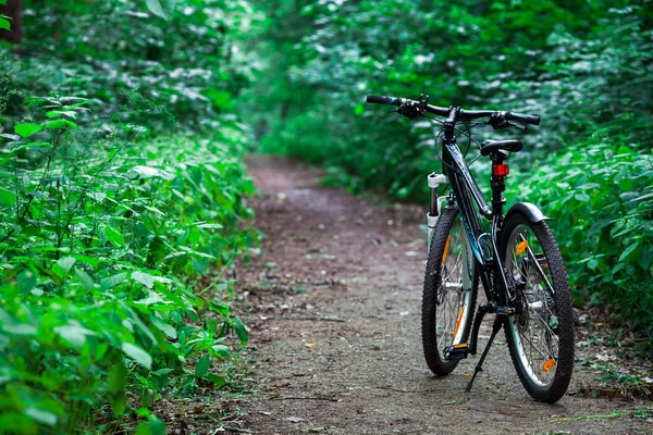 Mountain  bicycle in forest.