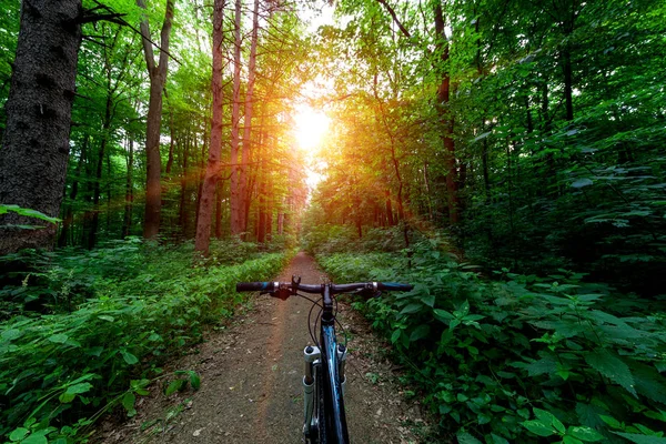 Rijden op de fiets in het park — Stockfoto