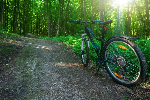 Mountain  bicycle in forest.