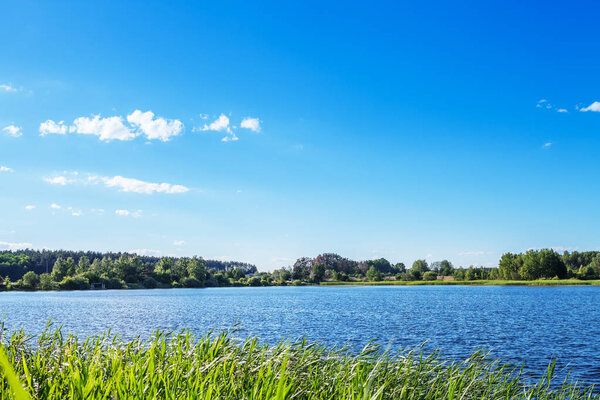 Picturesque forest and the river