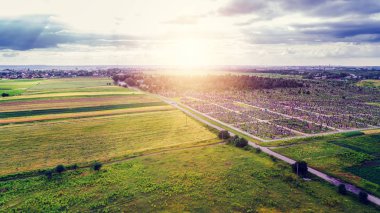 yeşil alan üzerinde bir kamera ile robot