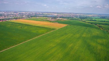 yeşil alan üzerinde bir kamera ile robot