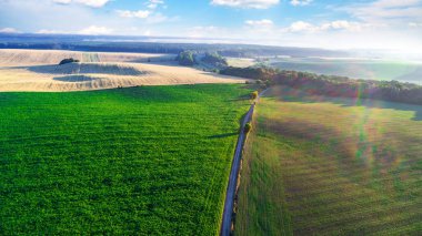 yeşil alan üzerinde bir kamera ile robot